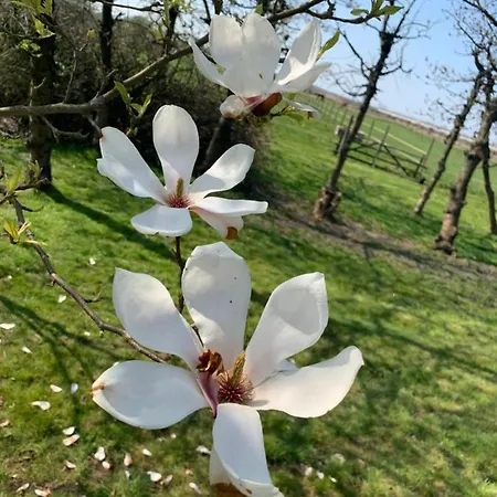Apartamento Treffpunkt Gehrden