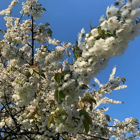 Apartamento Treffpunkt Gehrden *