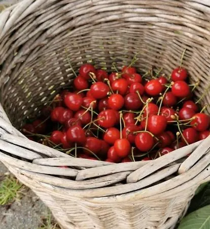 Treffpunkt Gehrden *