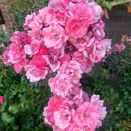 Treffpunkt Gehrden * Jork