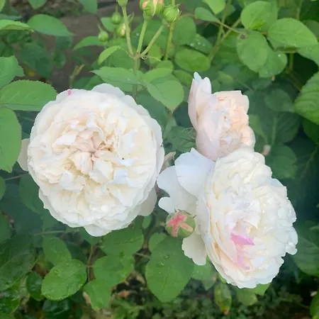 Treffpunkt Gehrden Apartamento Jork