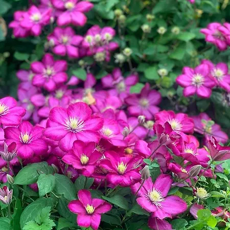 Treffpunkt Gehrden * Jork