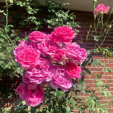 Treffpunkt Gehrden *