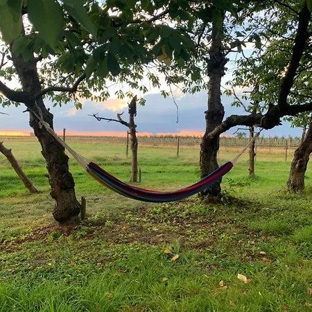 Treffpunkt Gehrden Jork