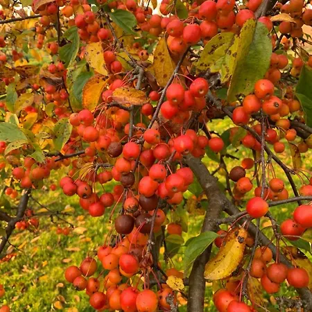 Treffpunkt Gehrden *