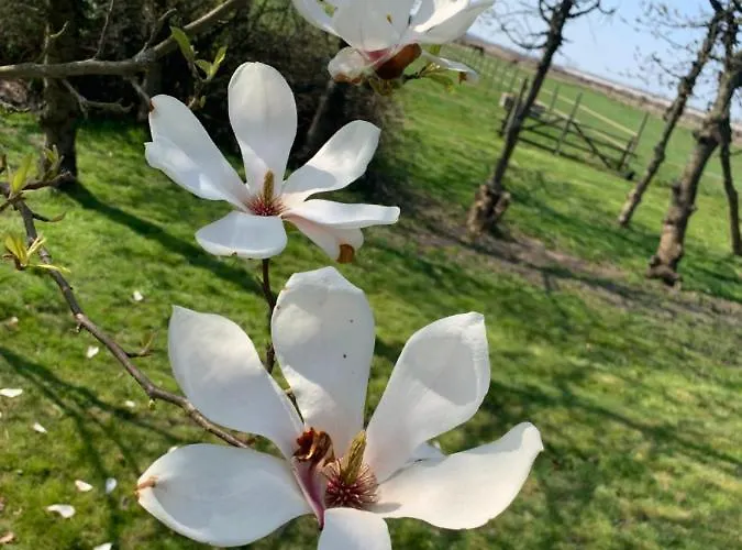 Lägenhet Treffpunkt Gehrden