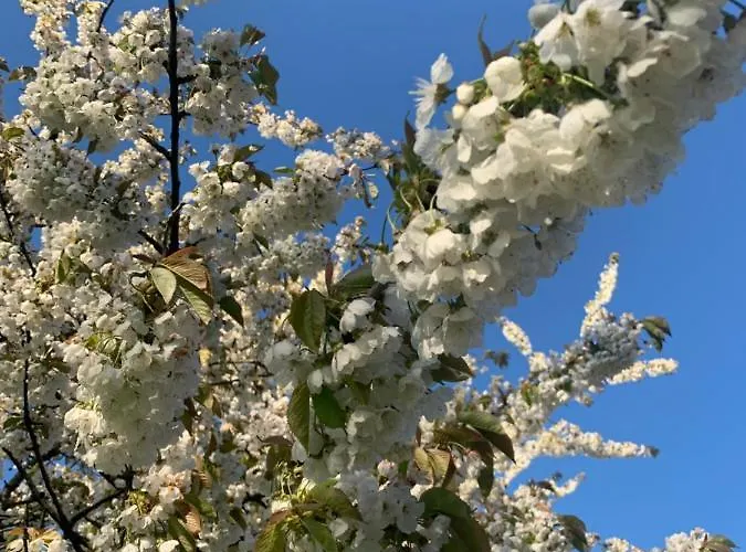Lägenhet Treffpunkt Gehrden *