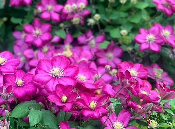 Treffpunkt Gehrden * Jork