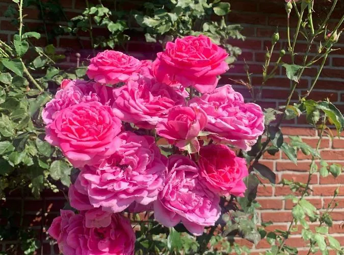 Treffpunkt Gehrden *