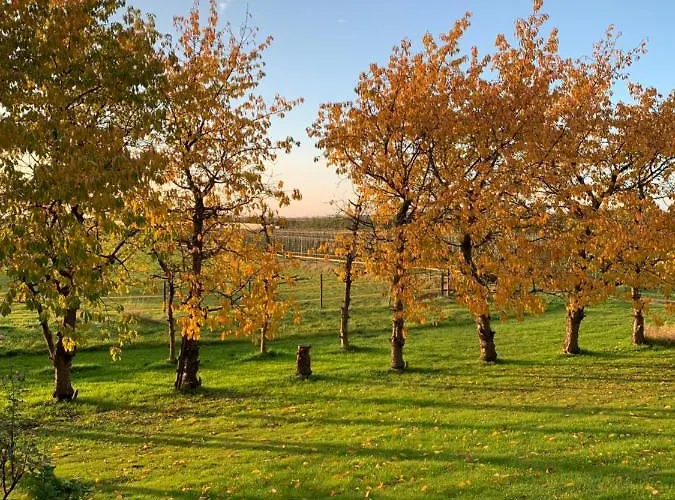 Treffpunkt Gehrden Jork