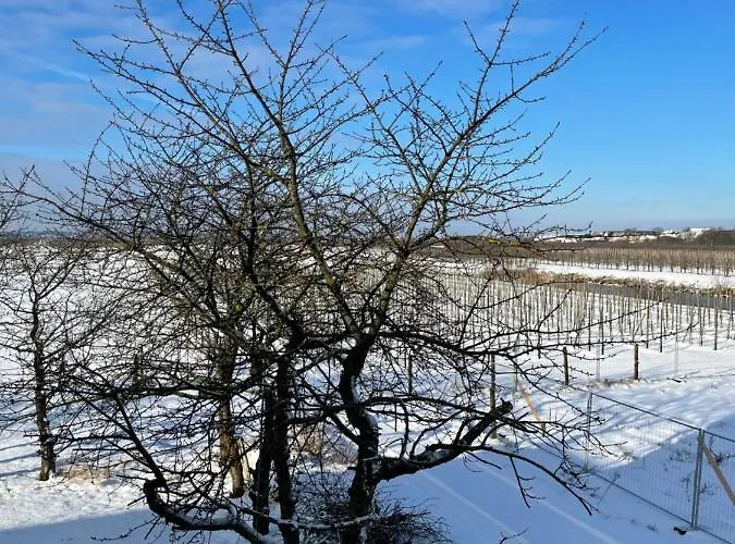 Treffpunkt Gehrden Lägenhet